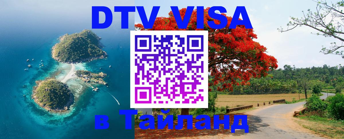 Сколько стоит DTV виза — актуальные цены, оформление даже без документов - 03.10.2025 
